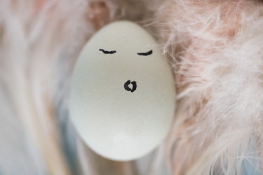 Similar image 22591579