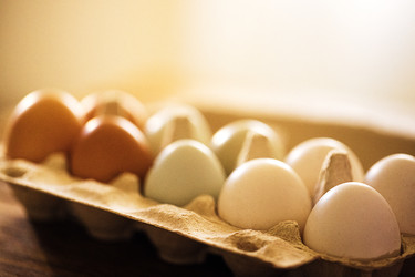 Similar image 22591583