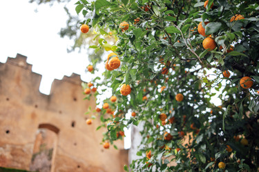 Similar image 22591599