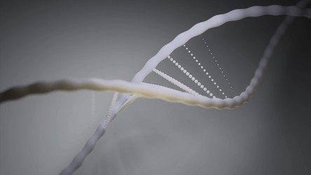 Similar image 22572334