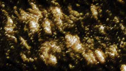 Similar image 22569019