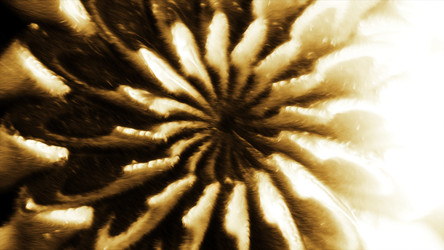 Similar image 22572095