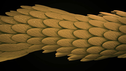 Similar image 22569774