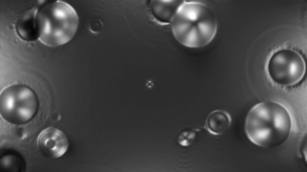 Similar image 22569908