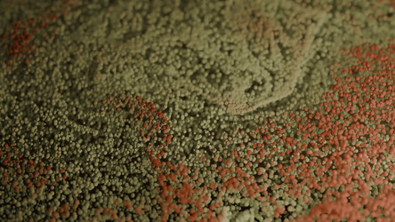 Similar image 22567987