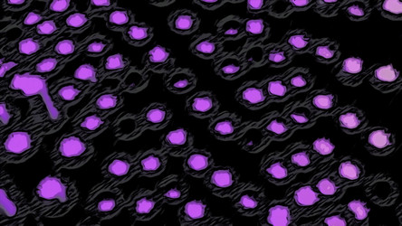 Similar image 22569833