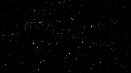 Similar image 22568051