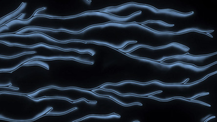 Similar image 22569025