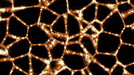 Similar image 22568667