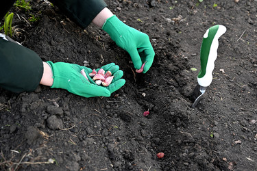 Similar image 22564095