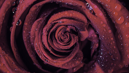 Similar image 22569688