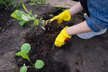 Similar image 22564099