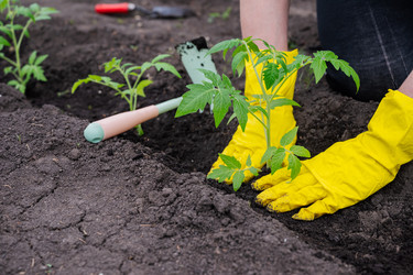 Similar image 22564102