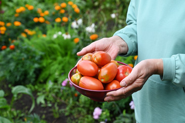 Similar image 22564114