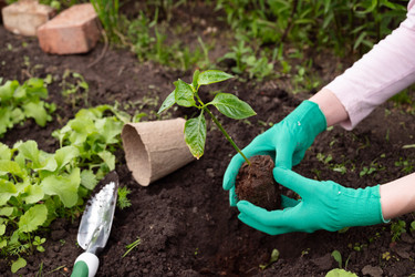 Similar image 22564115