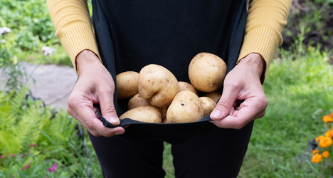 Similar image 22564118