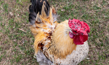 Similar image 22564122