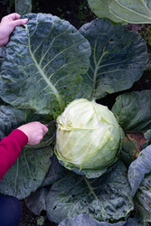 Similar image 22564123