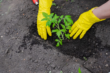 Similar image 22564124