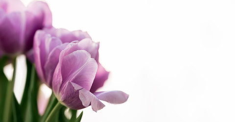 Similar image 22577354