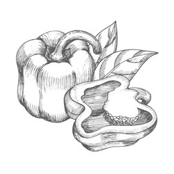 Similar image 22562636