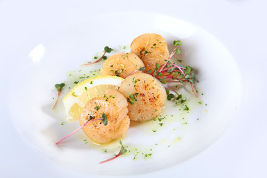 Similar image 22591040