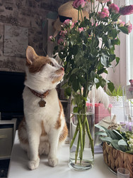 Similar image 22562638