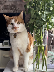 Similar image 22562639