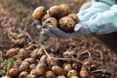 Similar image 22590380