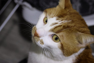 Similar image 22562640