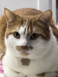 Similar image 22562641