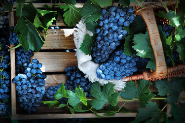 Similar image 22590383