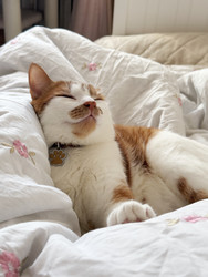 Similar image 22562642