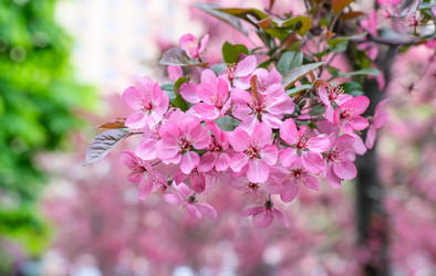 Similar image 22562666