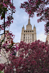 Similar image 22562669