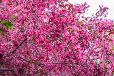 Similar image 22562670