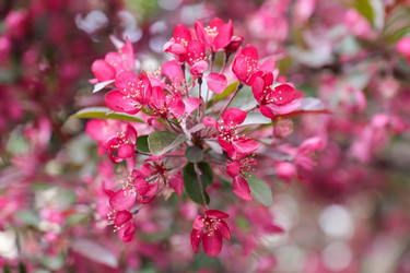 Similar image 22562671