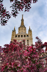 Similar image 22562673