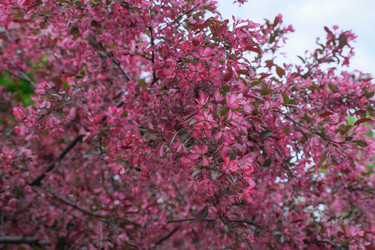 Similar image 22562675