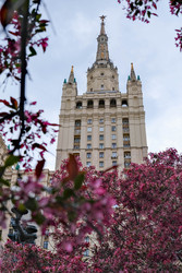 Similar image 22562677