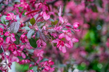 Similar image 22562678