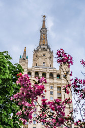 Similar image 22562681