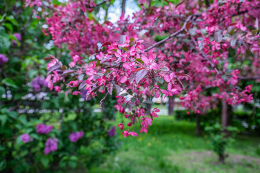 Similar image 22562684