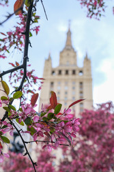 Similar image 22562685