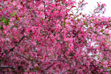 Similar image 22562701