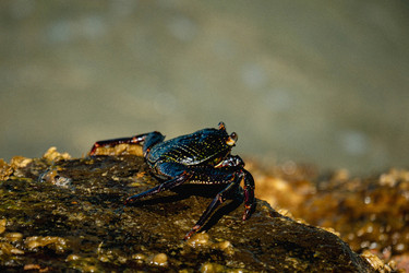 Similar image 22590010