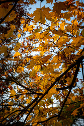 Similar image 22585679