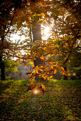 Similar image 22585698