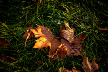 Similar image 22586663