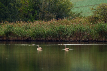 Similar image 22586671